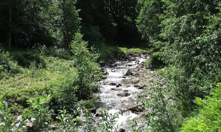 Alpe Zunkleiten