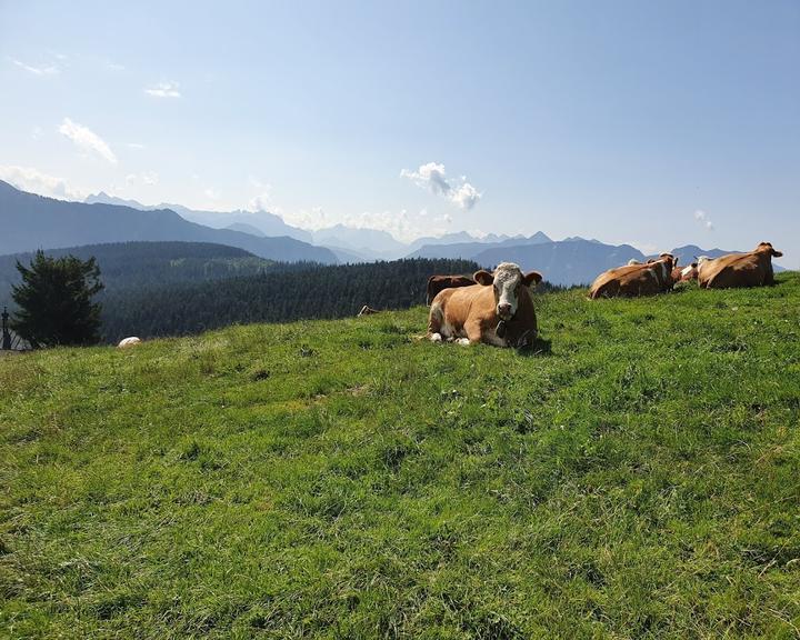 Stoisser Alm